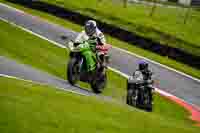 Lower Group Green Bikes